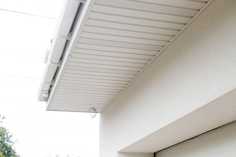 Vinyl Molding Repair in Alpharetta, GA